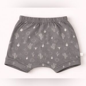 Jax & Lennon Desert Cactus Print Boys Harem Shorts - Gray Harem-style shorts